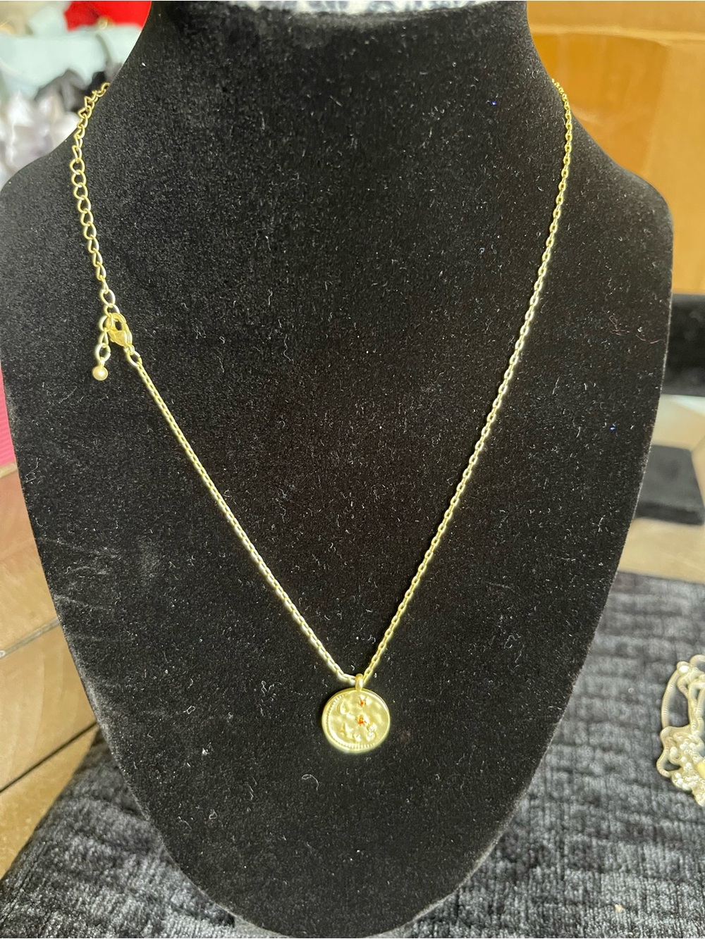 Classic Gold Coin Pendant Necklace - Women's Gold Layering Piece Astrological Ar